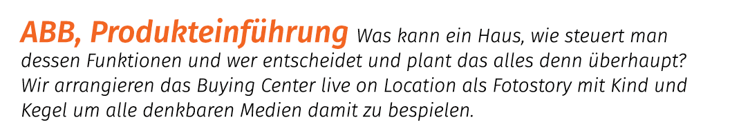 ABB, Produkteinf hrung Was kann ein Haus, wie steuert man dessen Funktionen und wer entscheidet und plant das alles d...